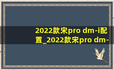 2022款宋pro dm-i配置_2022款宋pro dm-i配置表